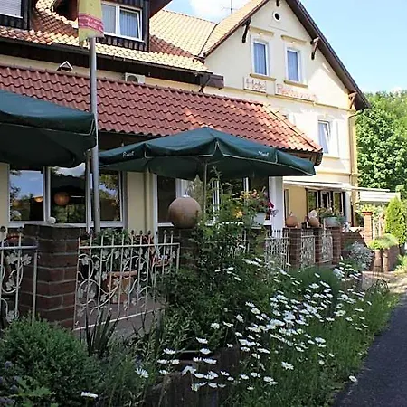 Elfenberg 2*