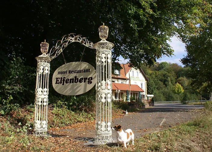 Elfenberg Schieder-Schwalenberg